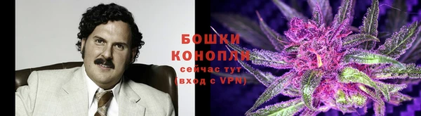марки nbome Балабаново