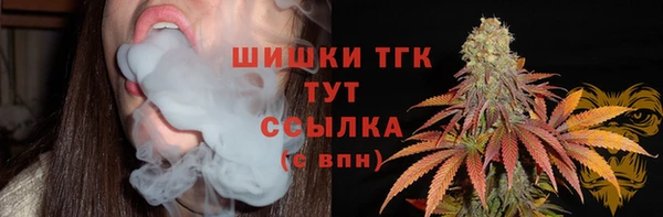 стаф Балахна