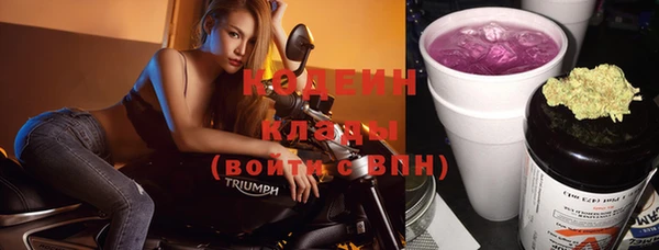 винт Пересвет