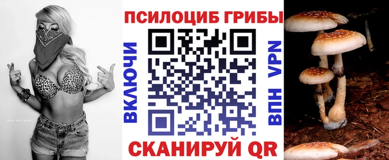 Галлюциногенные грибы Magic Shrooms  Углегорск 